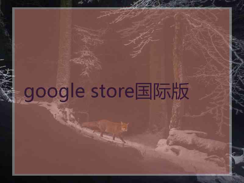 google store国际版