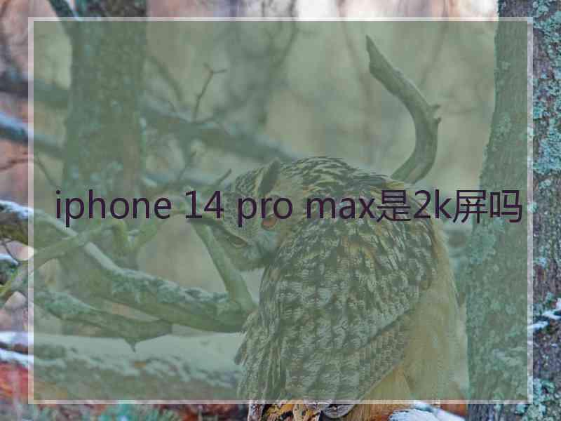 iphone 14 pro max是2k屏吗