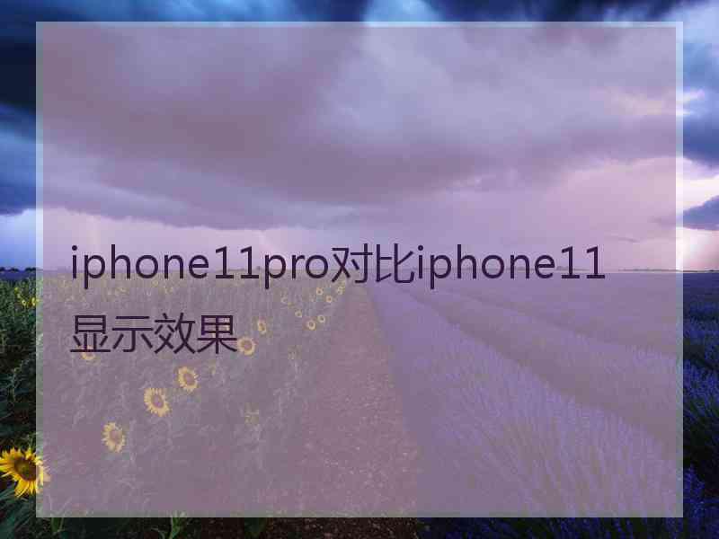 iphone11pro对比iphone11显示效果