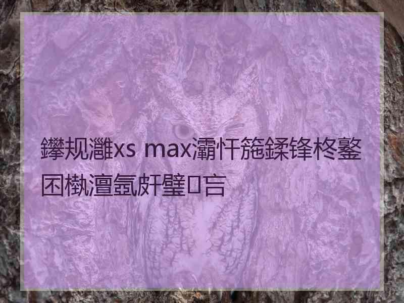 鑻规灉xs max灞忓箷鍒锋柊鐜囨槸澶氬皯璧吂