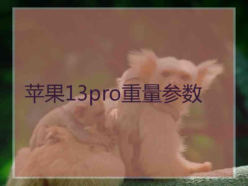 苹果13pro重量参数