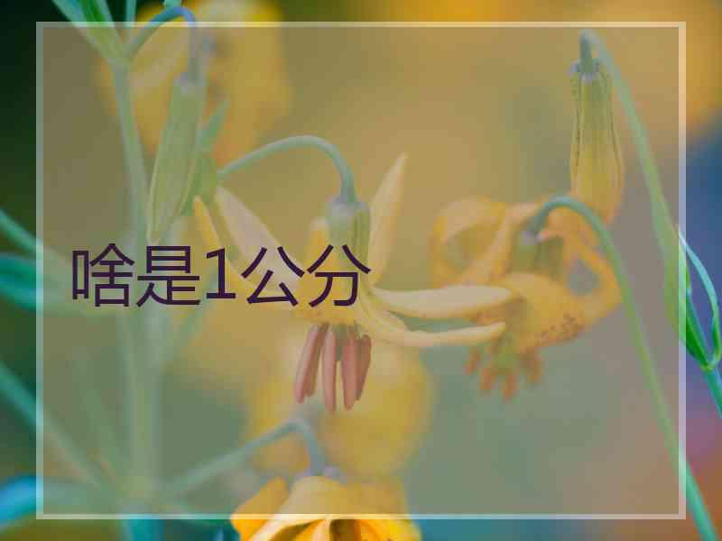 啥是1公分