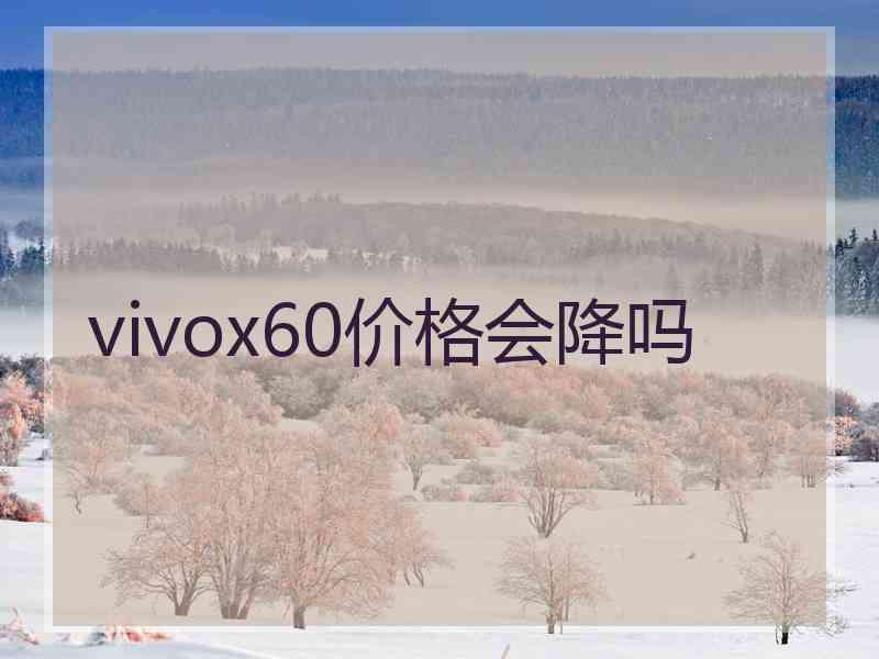 vivox60价格会降吗