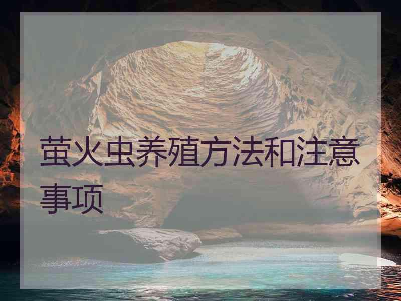 萤火虫养殖方法和注意事项