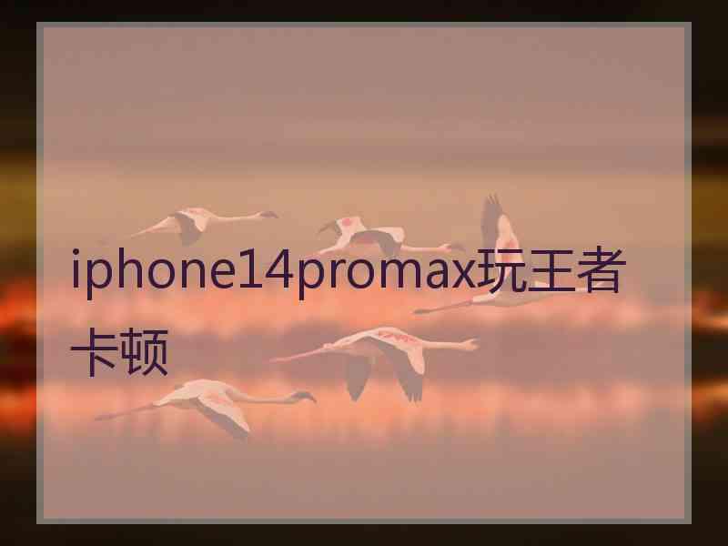 iphone14promax玩王者卡顿