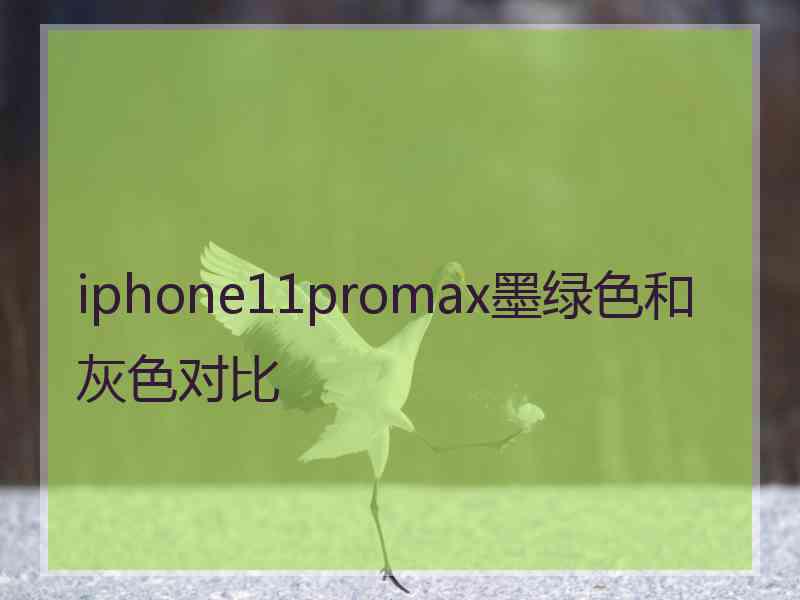 iphone11promax墨绿色和灰色对比