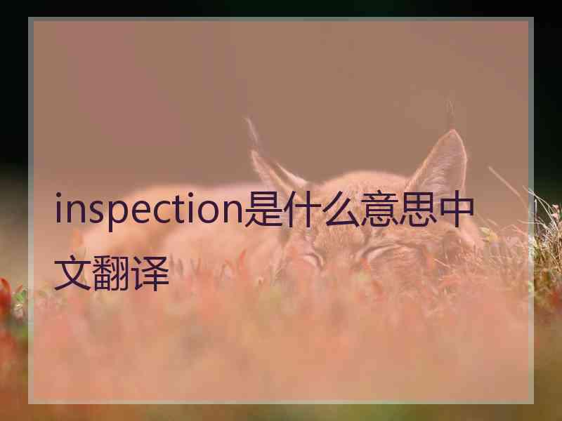 inspection是什么意思中文翻译