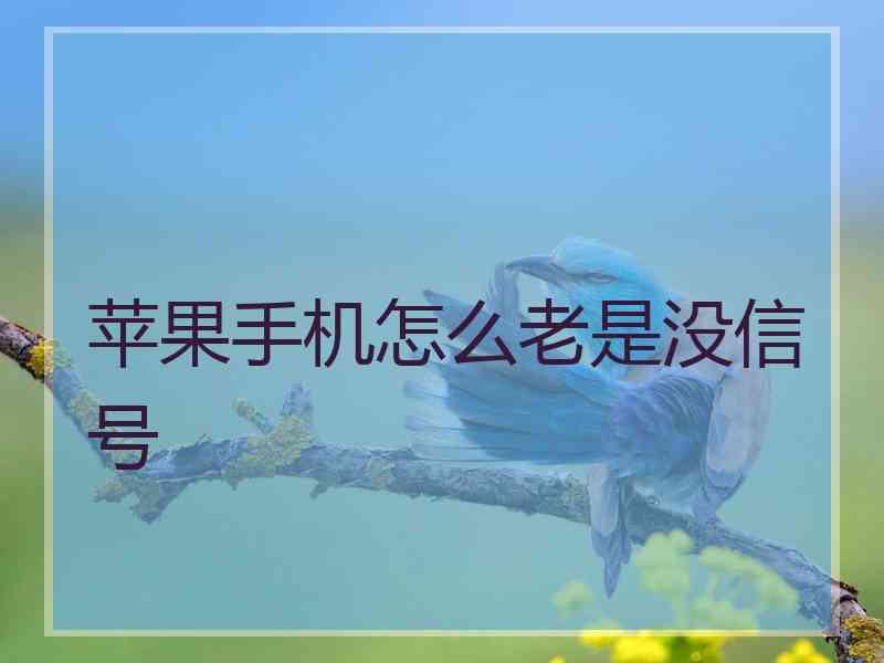 苹果手机怎么老是没信号