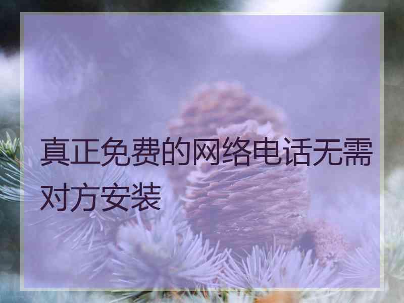 真正免费的网络电话无需对方安装