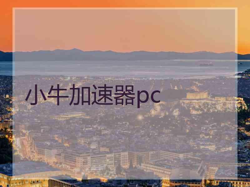 小牛加速器pc