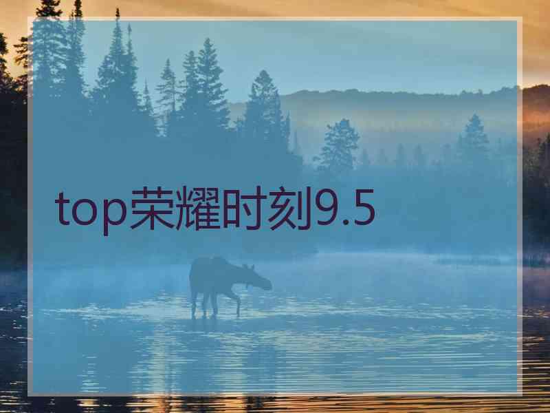 top荣耀时刻9.5