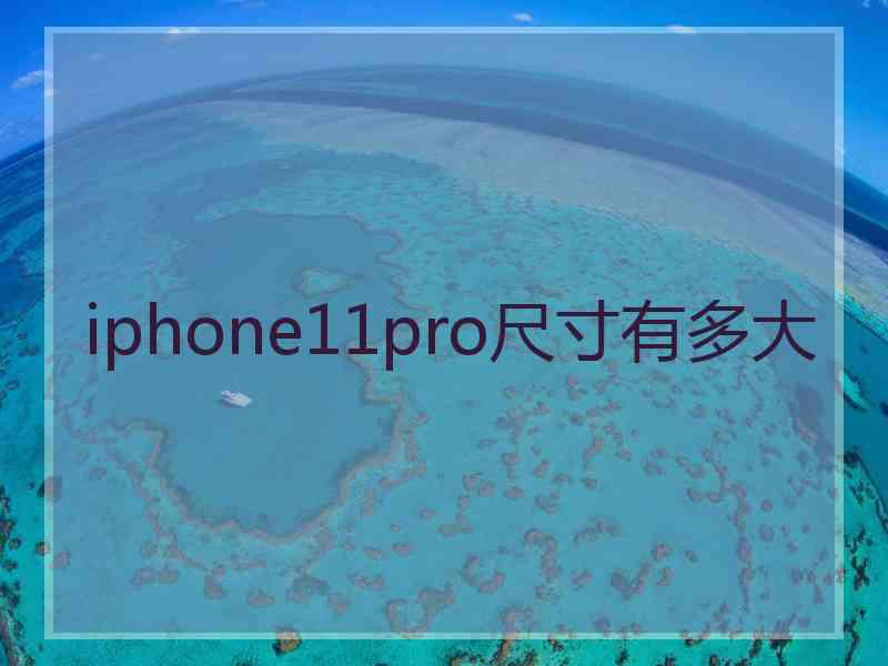 iphone11pro尺寸有多大