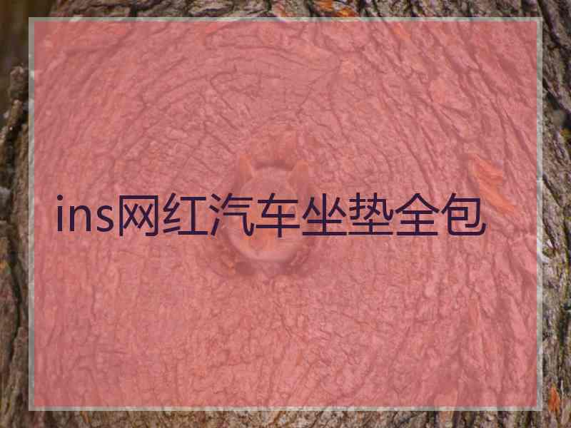 ins网红汽车坐垫全包