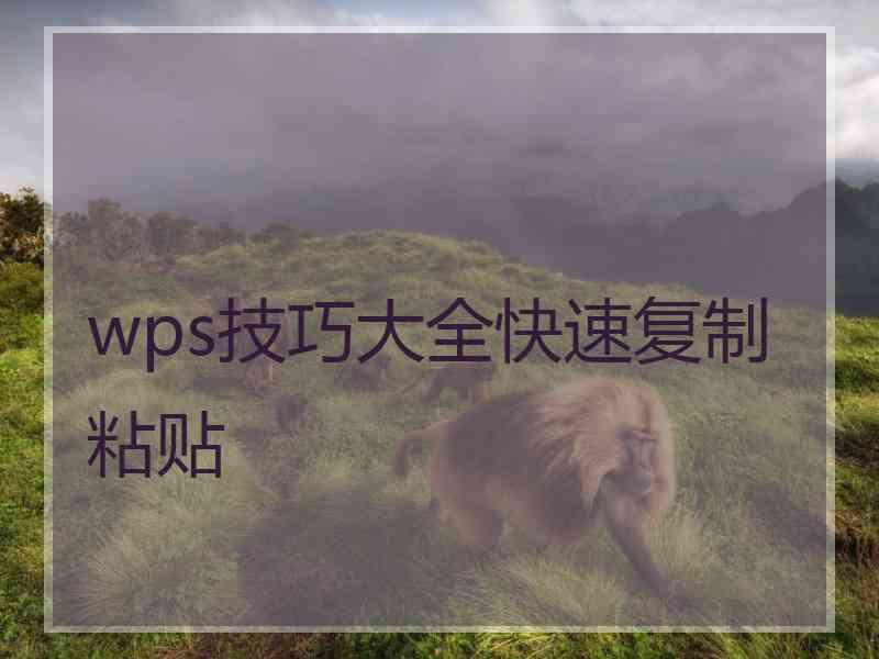 wps技巧大全快速复制粘贴