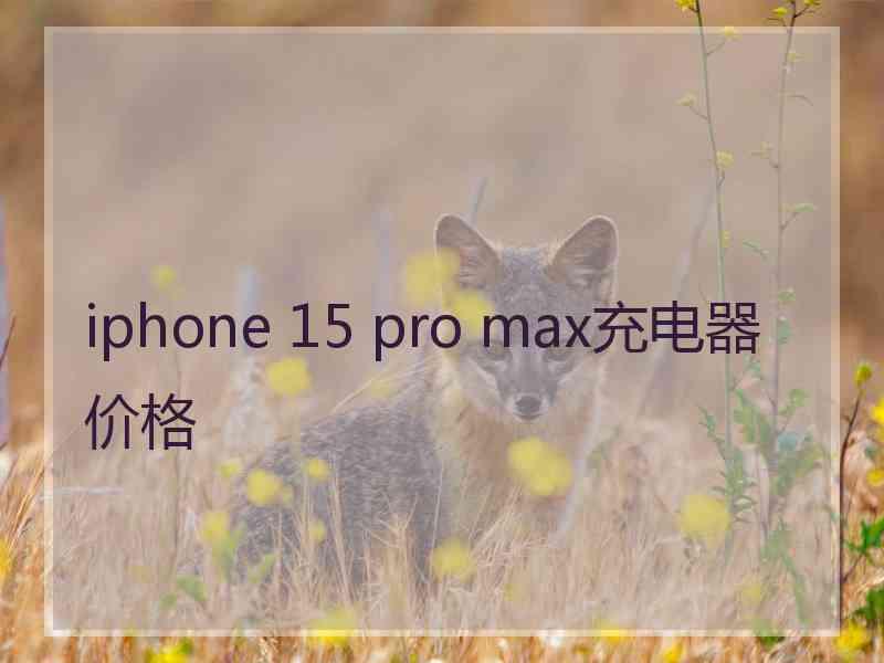 iphone 15 pro max充电器价格