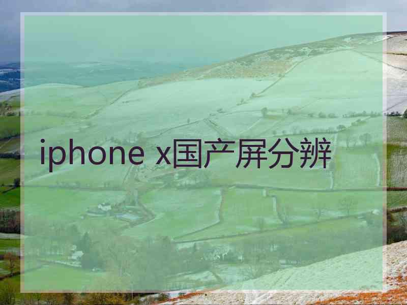 iphone x国产屏分辨