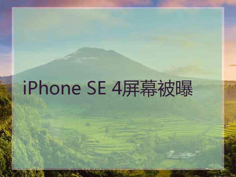 iPhone SE 4屏幕被曝