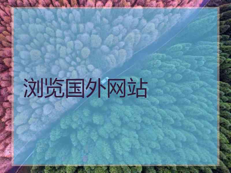 浏览国外网站