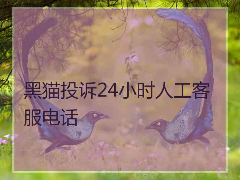 黑猫投诉24小时人工客服电话