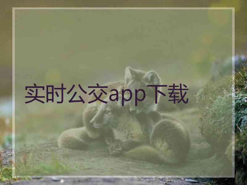 实时公交app下载