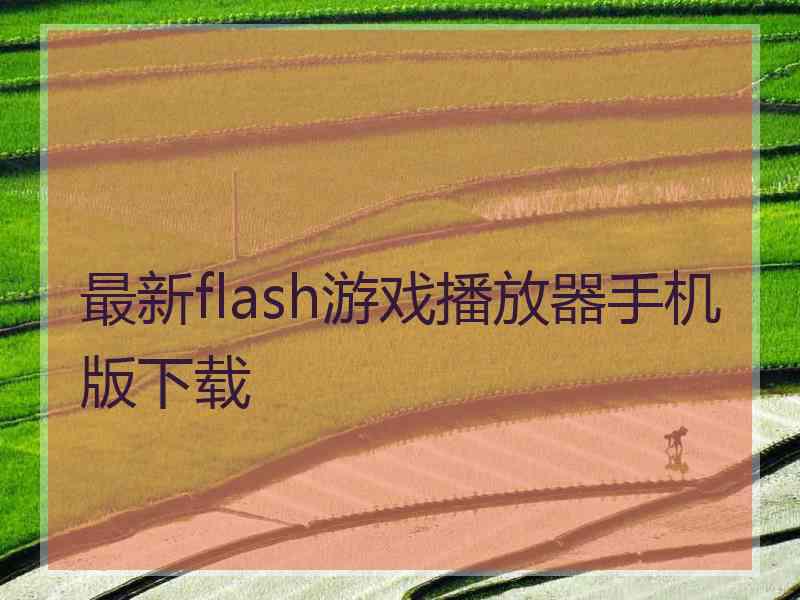 最新flash游戏播放器手机版下载