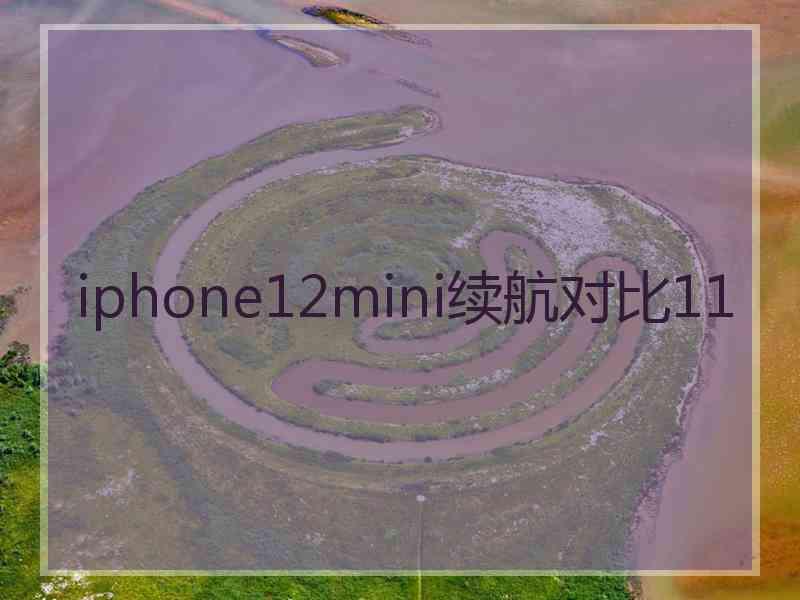 iphone12mini续航对比11