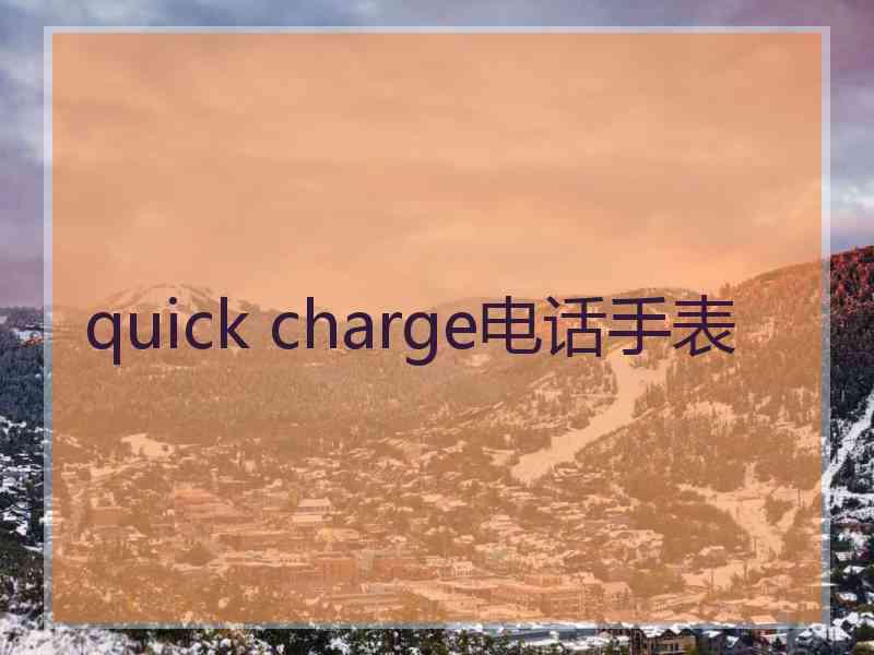 quick charge电话手表