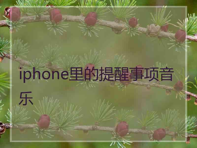 iphone里的提醒事项音乐