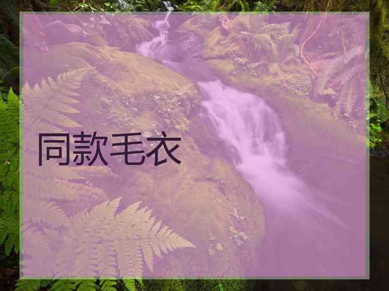 同款毛衣