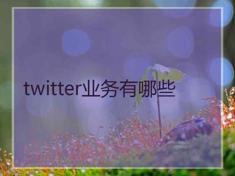 twitter业务有哪些