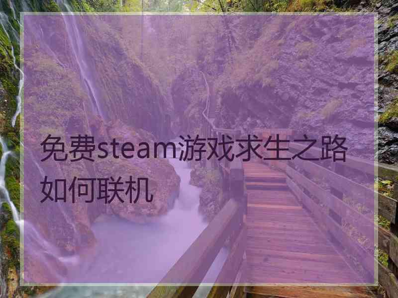 免费steam游戏求生之路如何联机