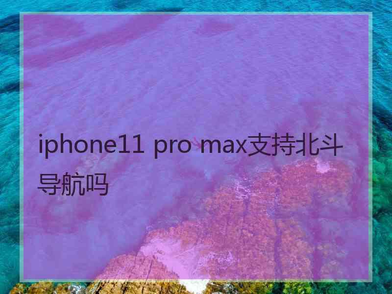 iphone11 pro max支持北斗导航吗