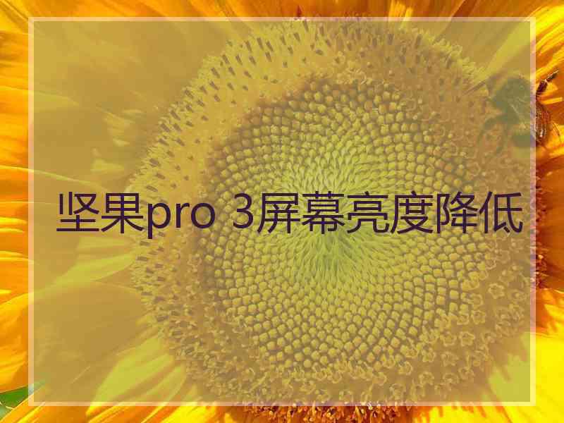 坚果pro 3屏幕亮度降低