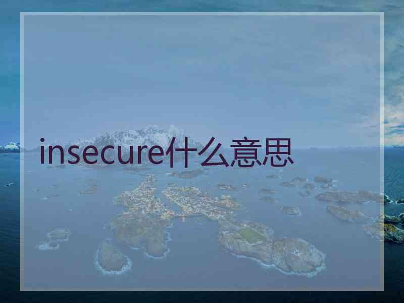 insecure什么意思