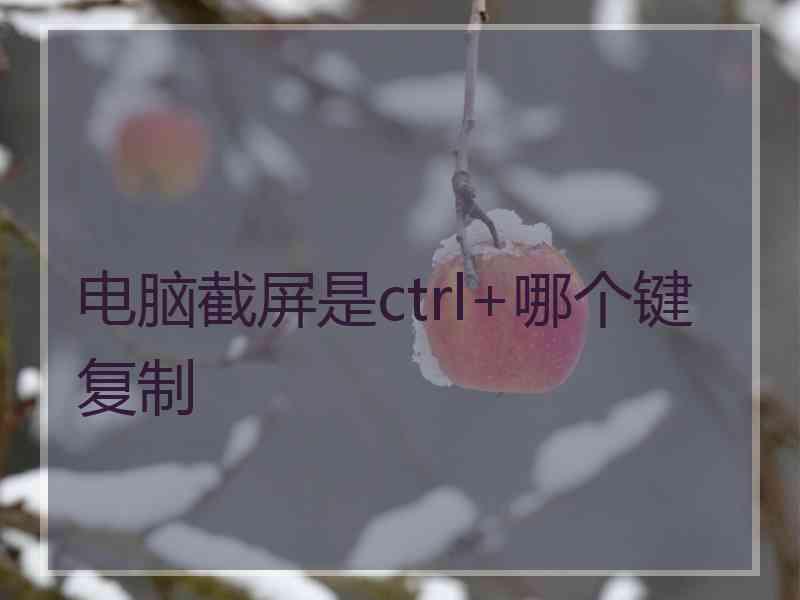 电脑截屏是ctrl+哪个键复制