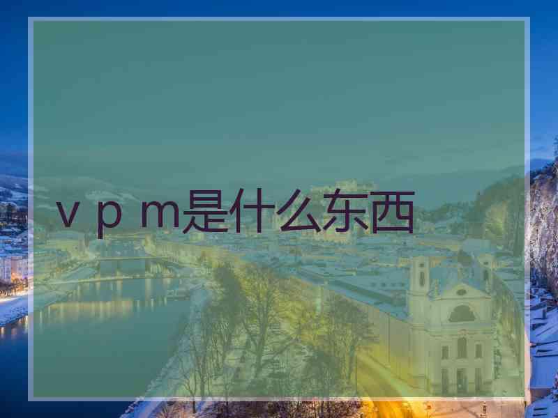 v p m是什么东西