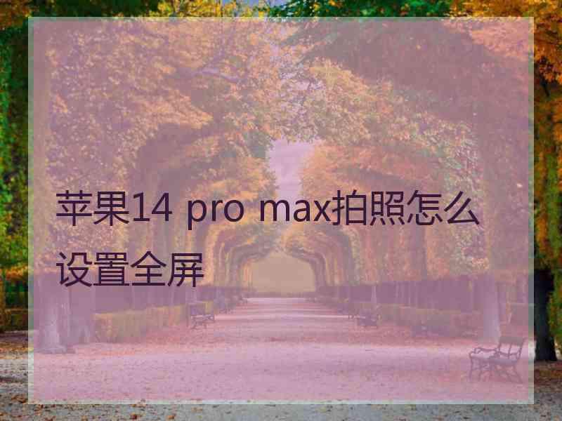 苹果14 pro max拍照怎么设置全屏