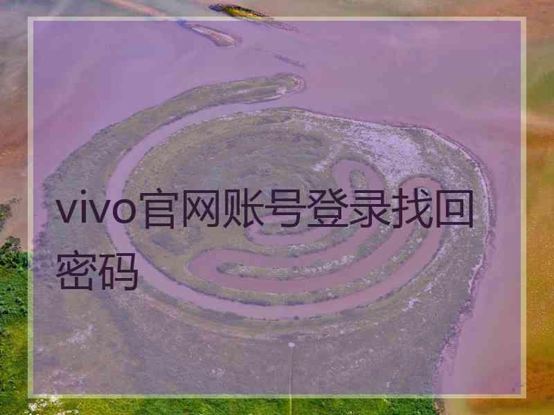 vivo官网账号登录找回密码