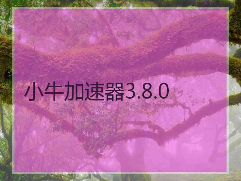 小牛加速器3.8.0