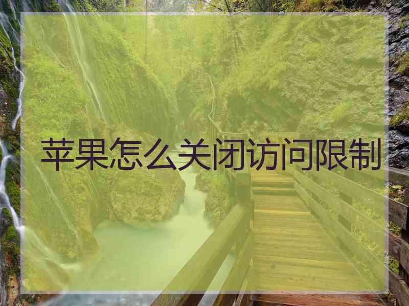 苹果怎么关闭访问限制