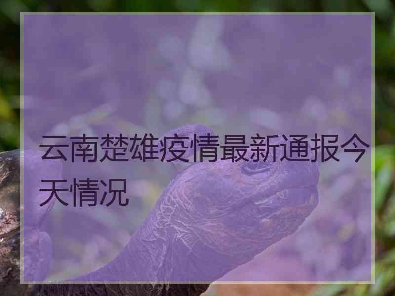 云南楚雄疫情最新通报今天情况