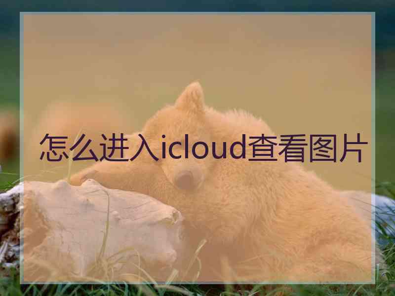 怎么进入icloud查看图片