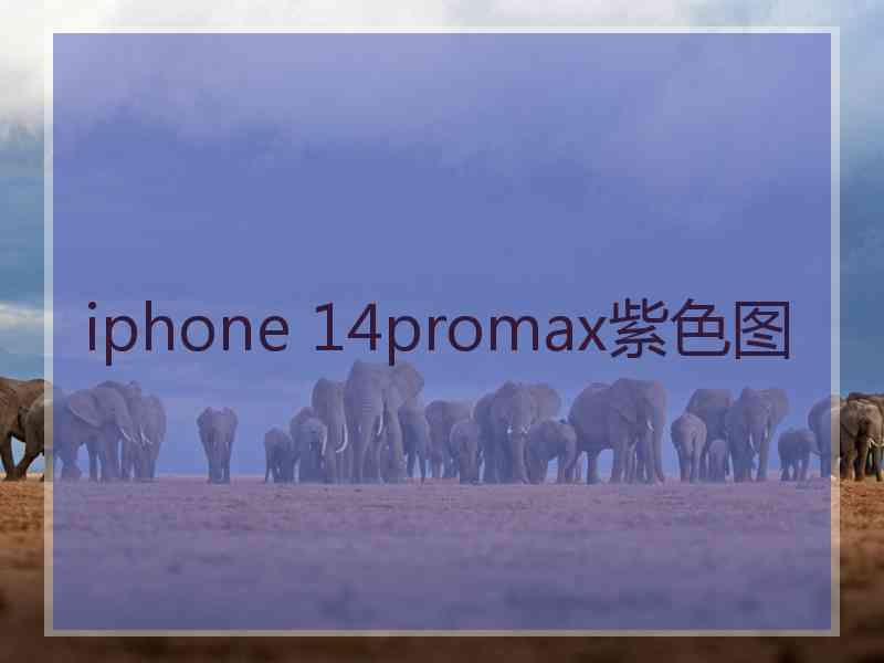 iphone 14promax紫色图