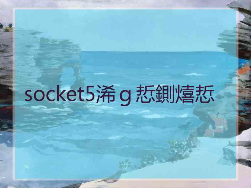 socket5浠ｇ悊鍘熺悊