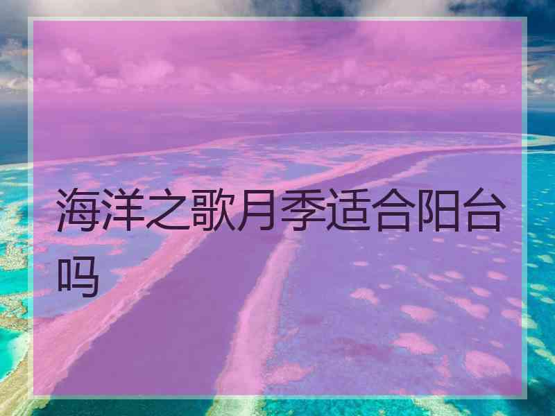 海洋之歌月季适合阳台吗