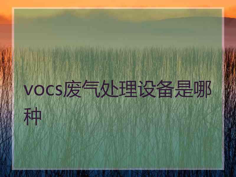 vocs废气处理设备是哪种