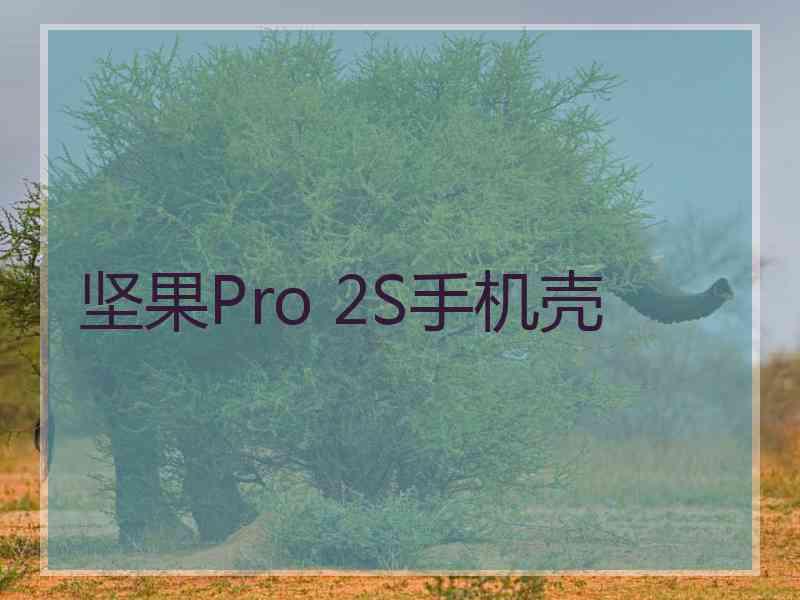 坚果Pro 2S手机壳