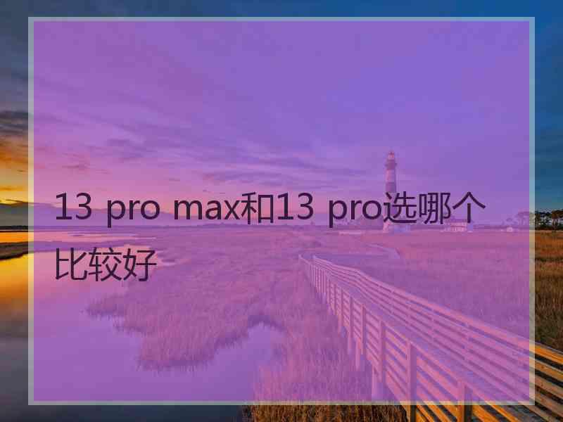 13 pro max和13 pro选哪个比较好