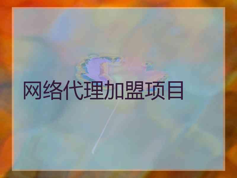 网络代理加盟项目