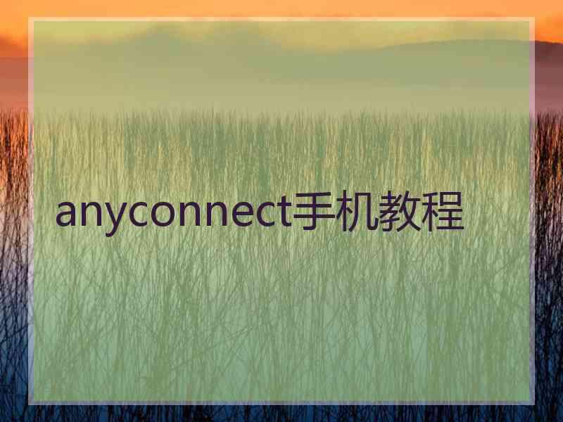 anyconnect手机教程